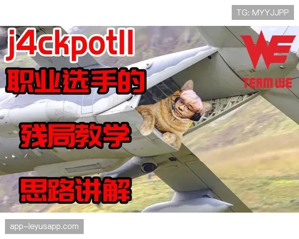 职业哥残局处理思路详解